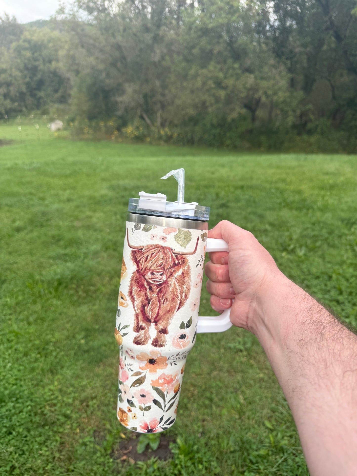 Highlander cow with wild flowers
